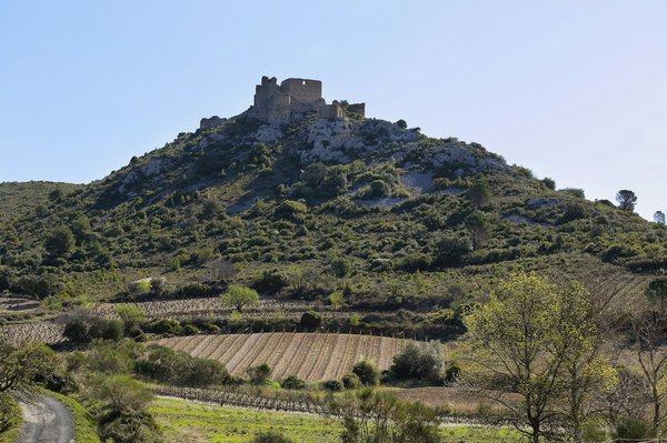 Which UK cities provide the most detailed historical walking tours on the Edwardian era?