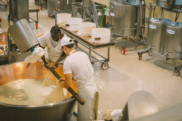 Where can you participate in a traditional British cheese making workshop?